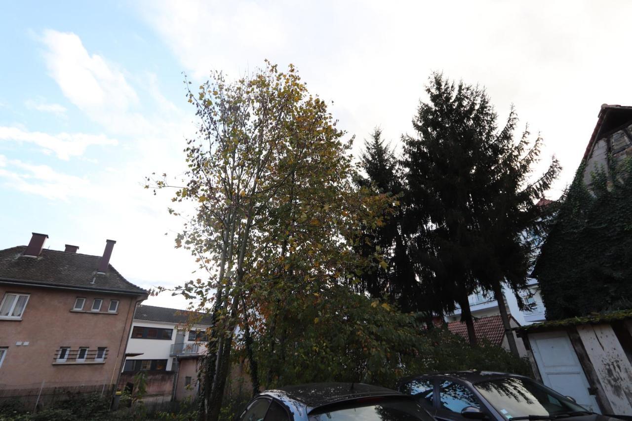 Homeday Cultivateur N°2 Appartement Type F3 Агно Екстериор снимка
